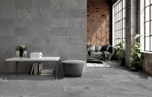 Billede af Limestone Grey 296x595 mm